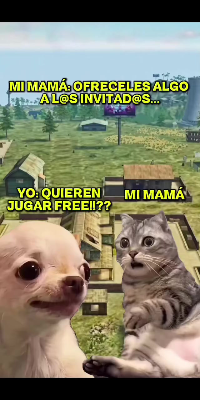 @☆Panaff