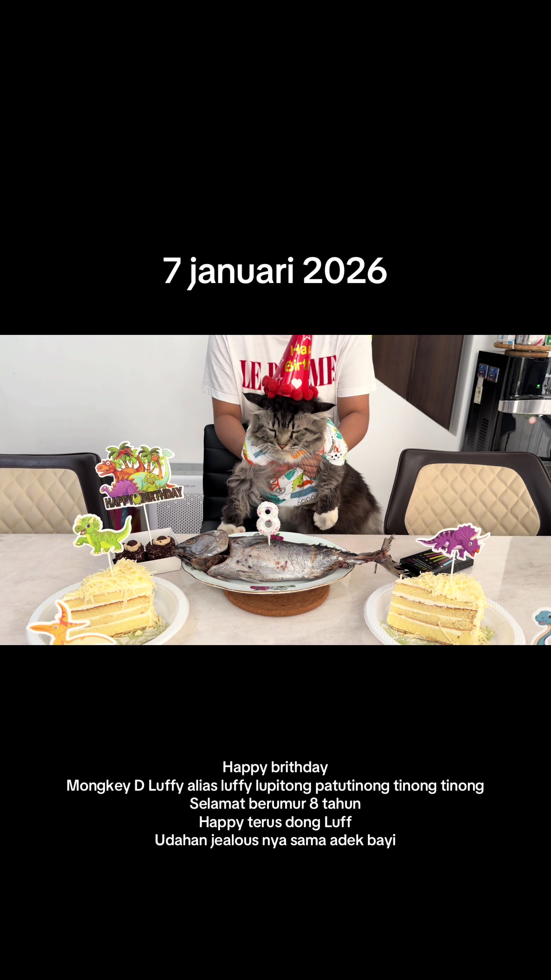@Luffy.lupitong