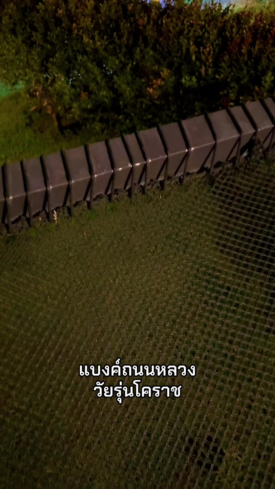 @𝑫𝒂𝑫𝒂 𝑲𝒊𝒕𝒕𝒚