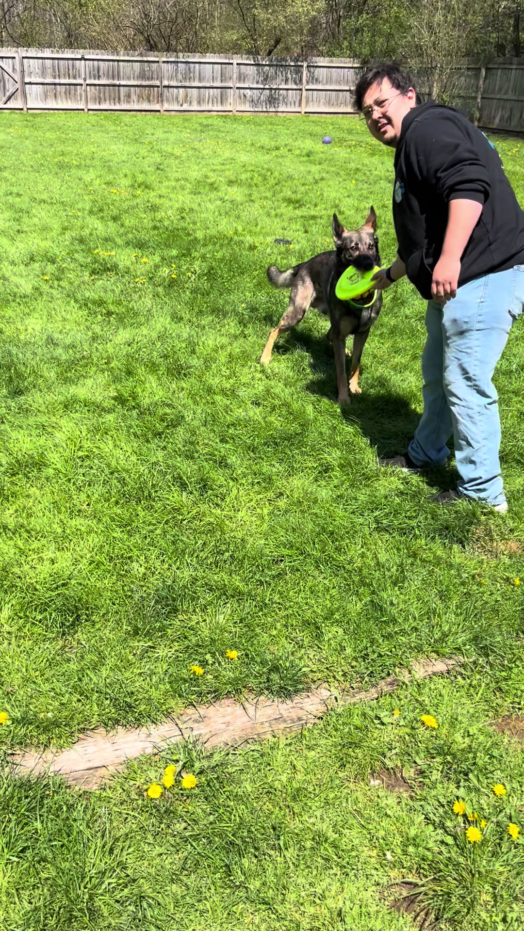 @Jay TheDog Trainer