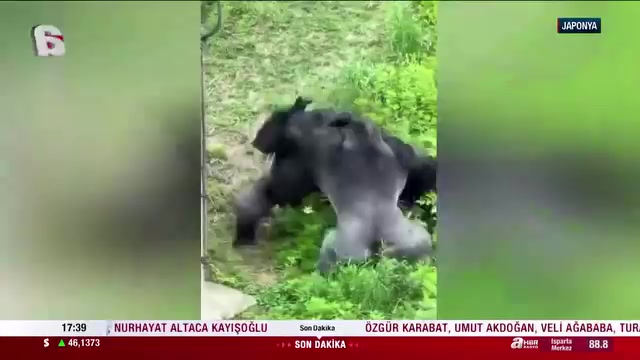 @yılmaz Çetinkaya