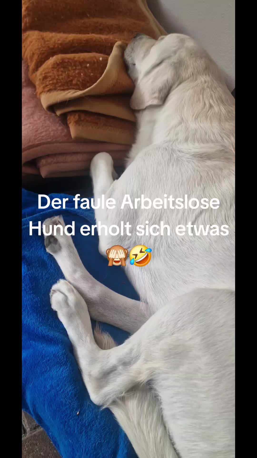 @Badekappe