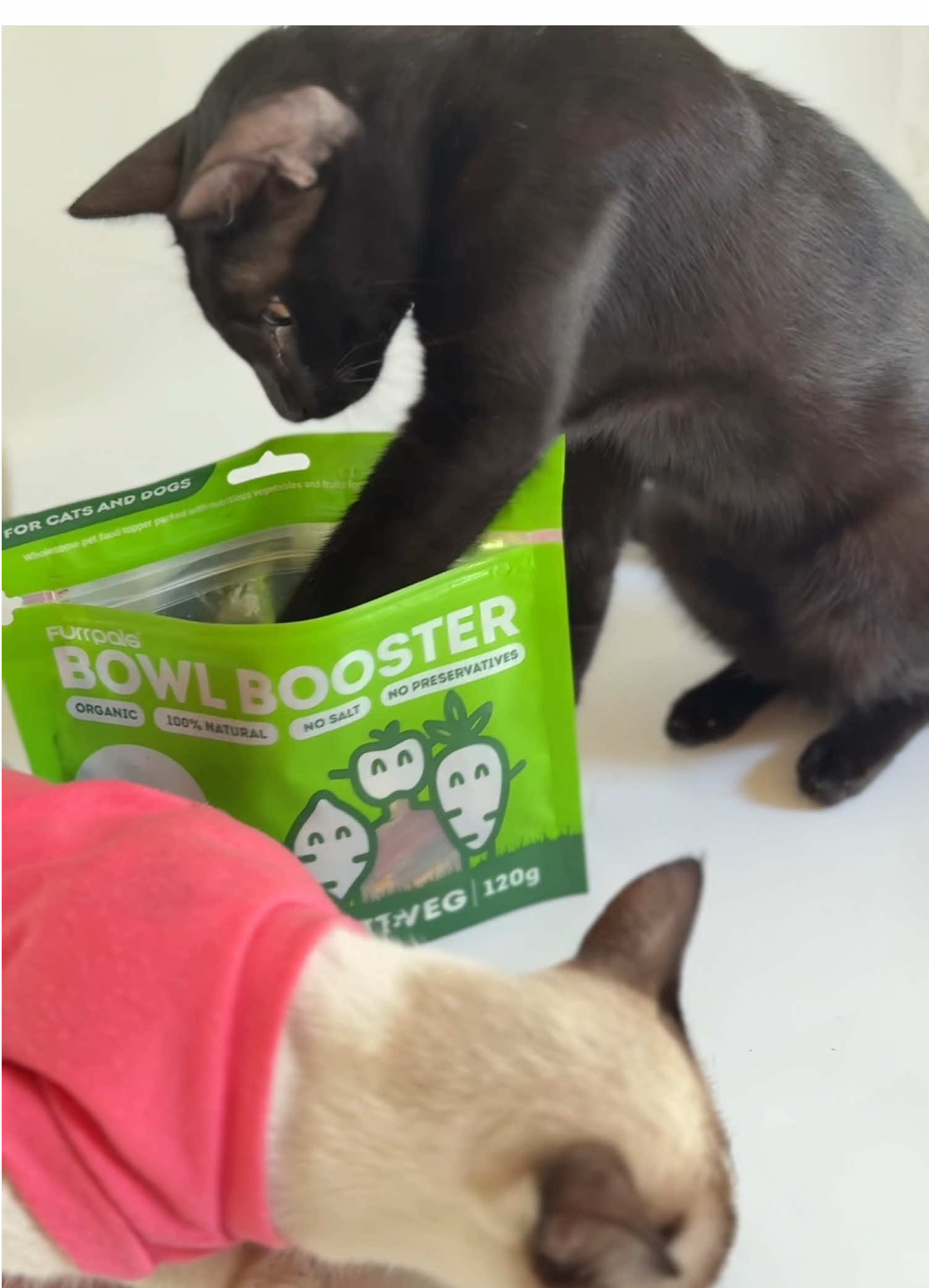 @Furrpals