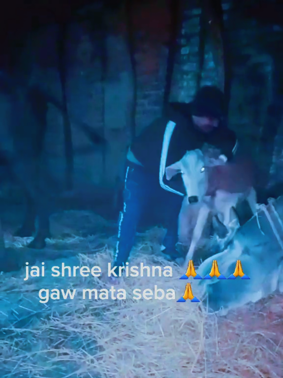 @ajay sah