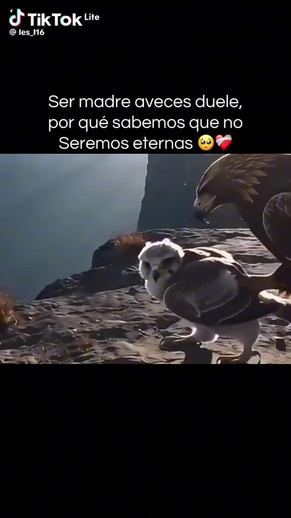 @Blanca Melgarejo