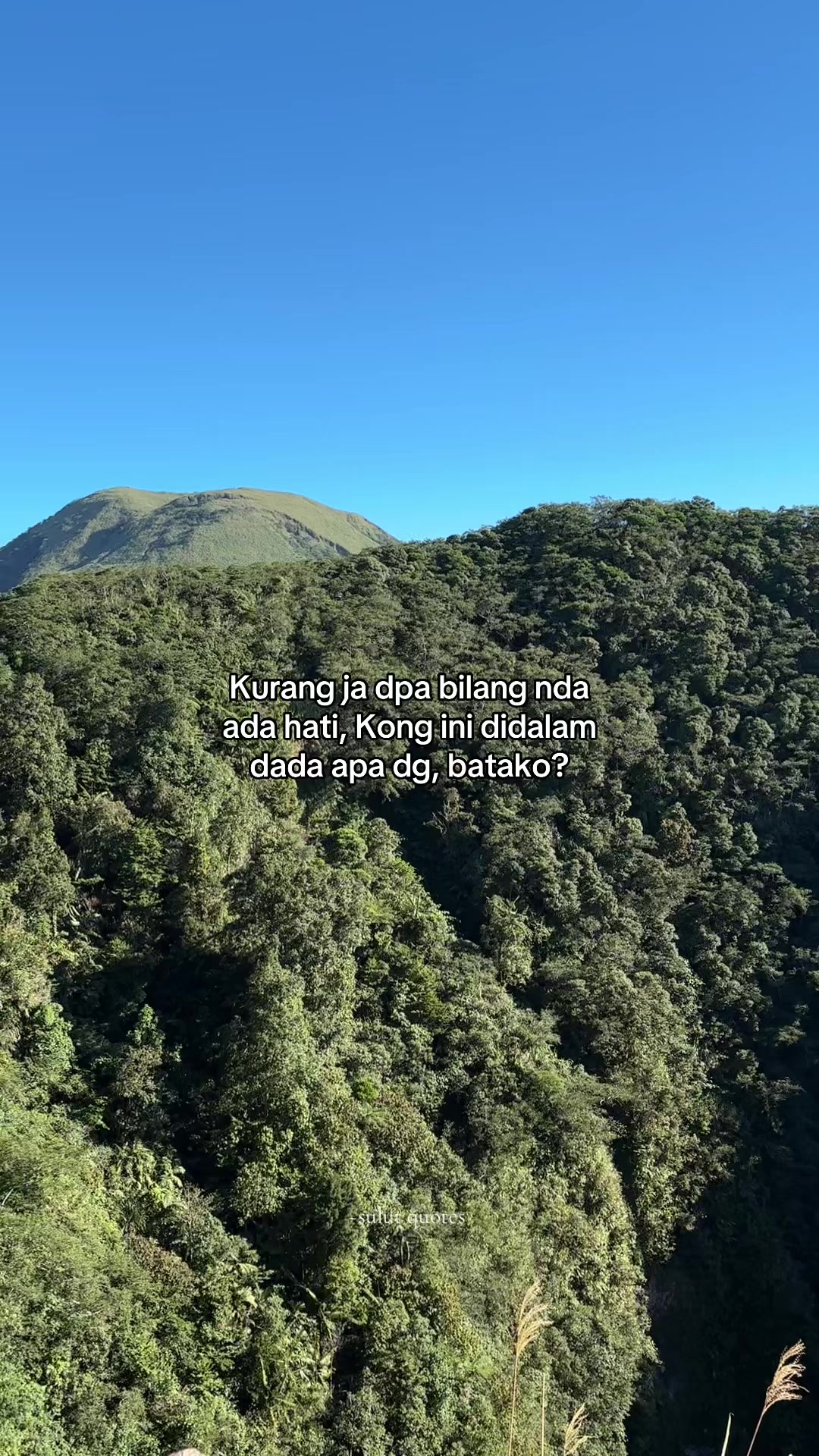 @Sulut Quotes