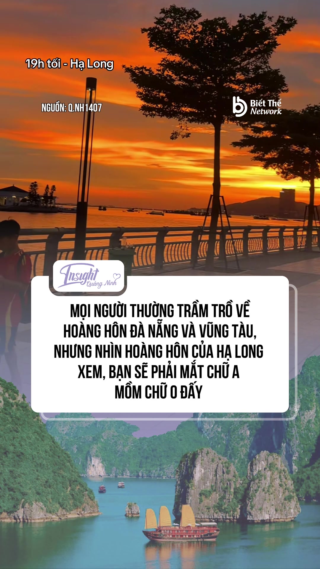 @Insight Quảng Ninh