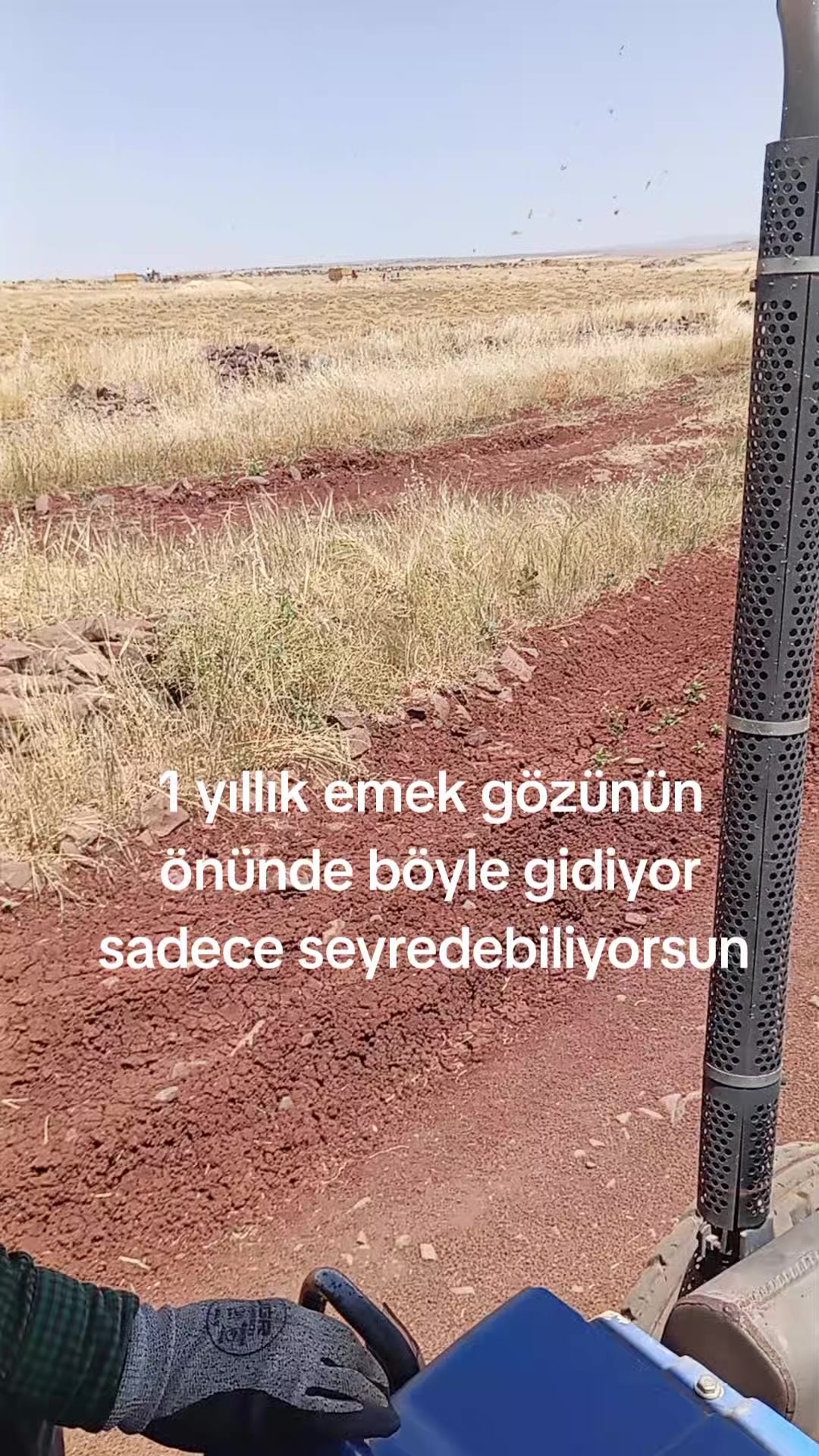 @MEMOLİ 82 21