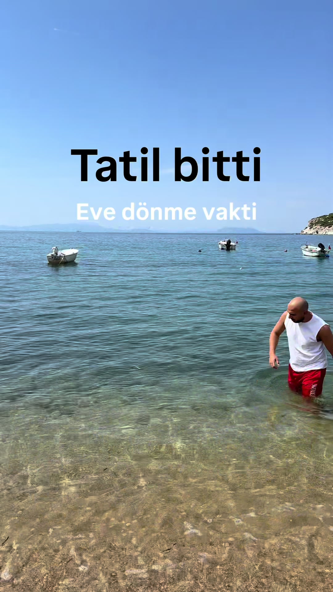 @Çamlı Ailesi