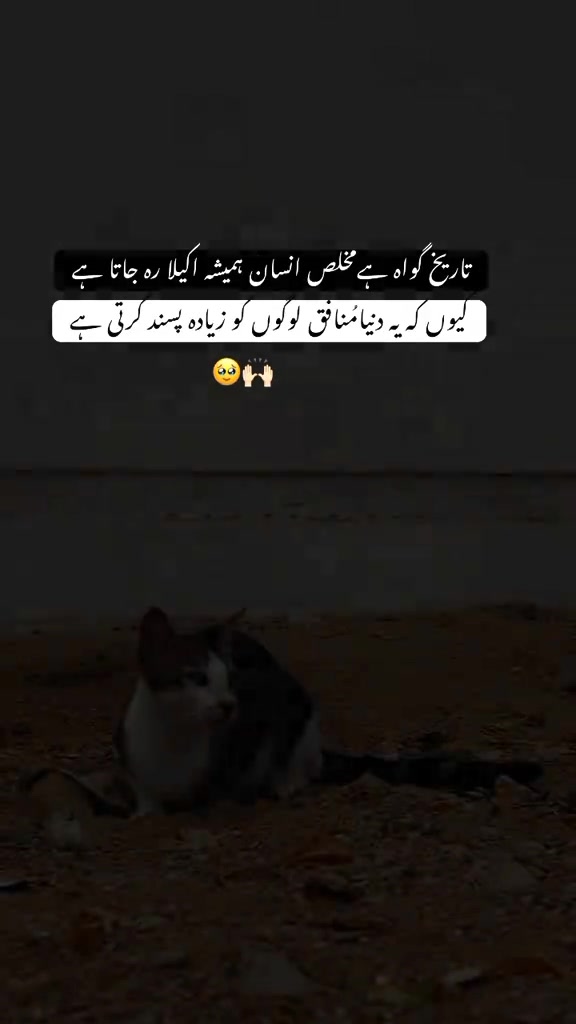 @Tayyab Khan