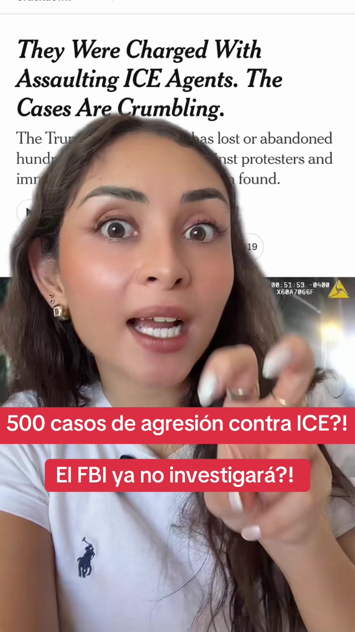 @dienerlawabogados