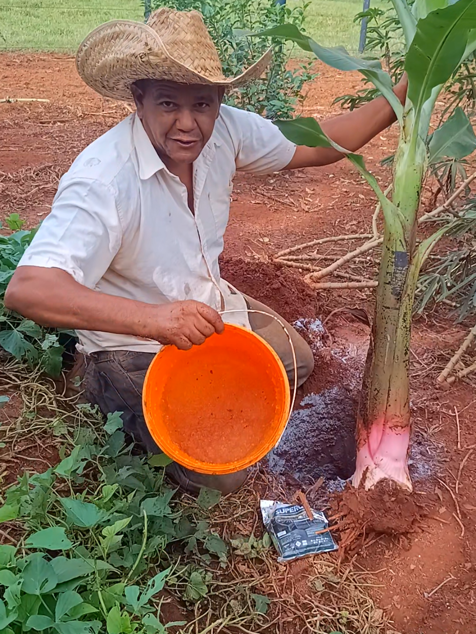 @Antônio Marcos Ferreira