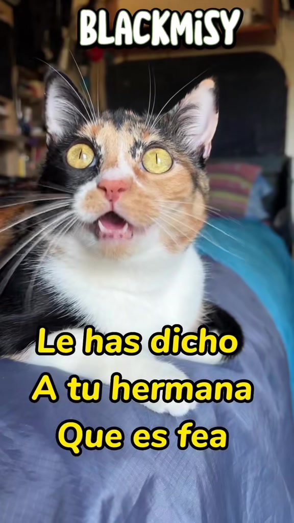 @BlackMisy