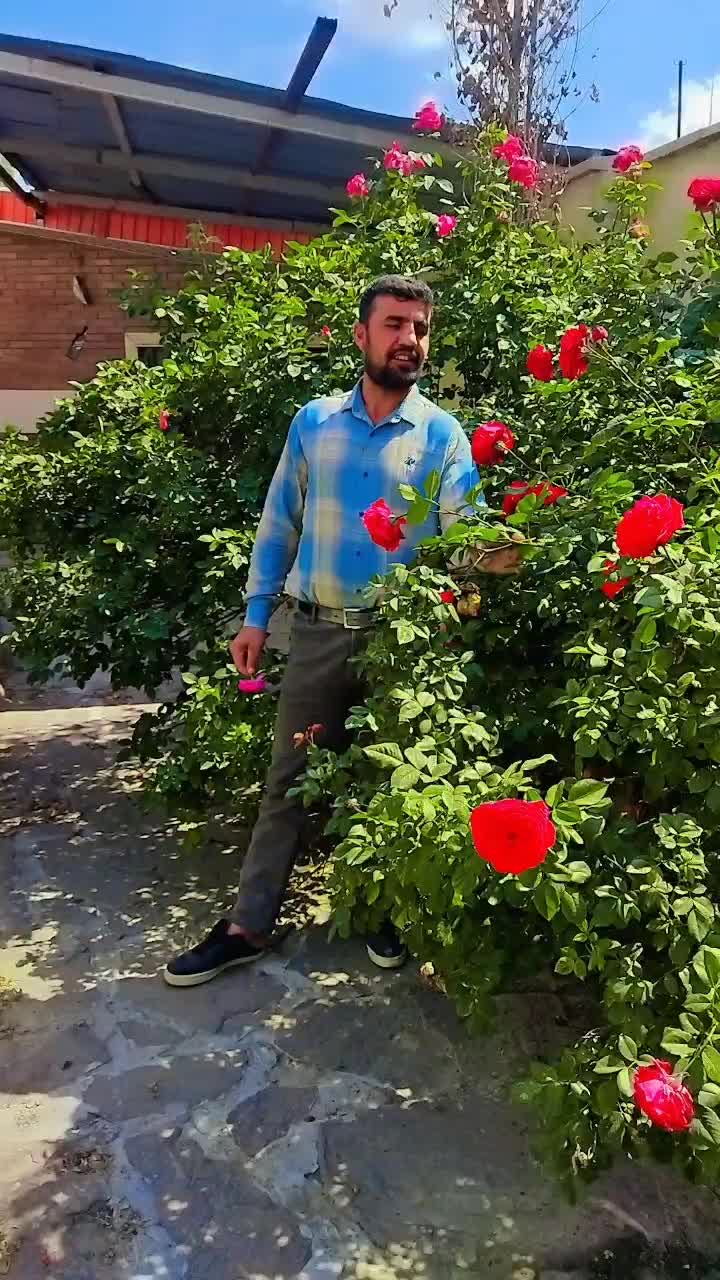 @nooragha