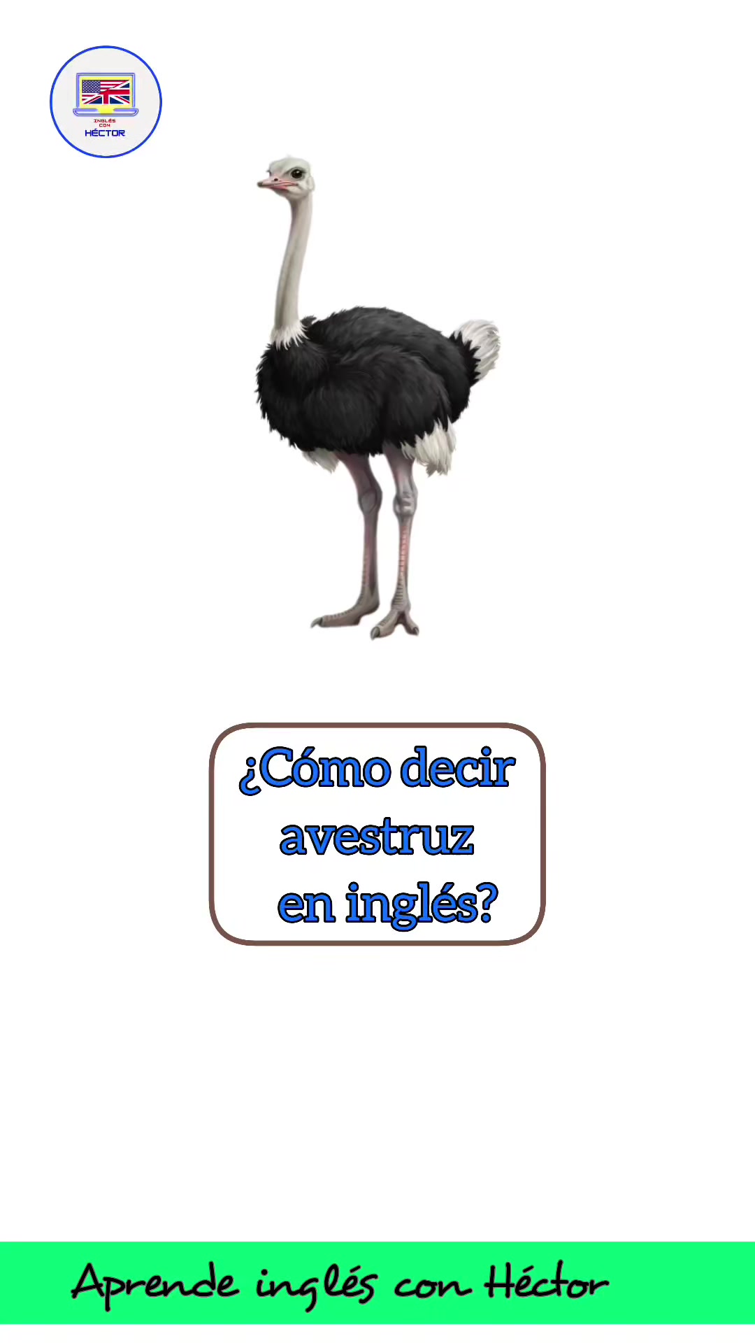 @Aprende inglés con Héctor