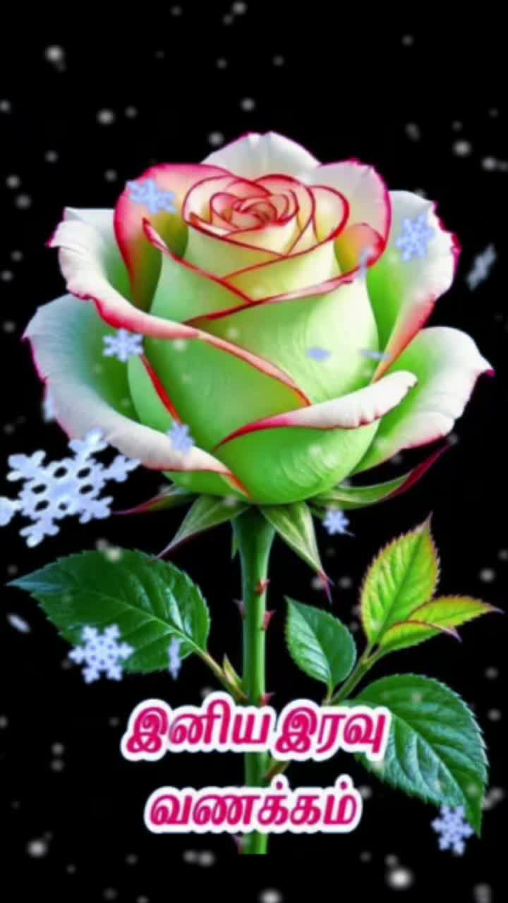 @Sai Meena