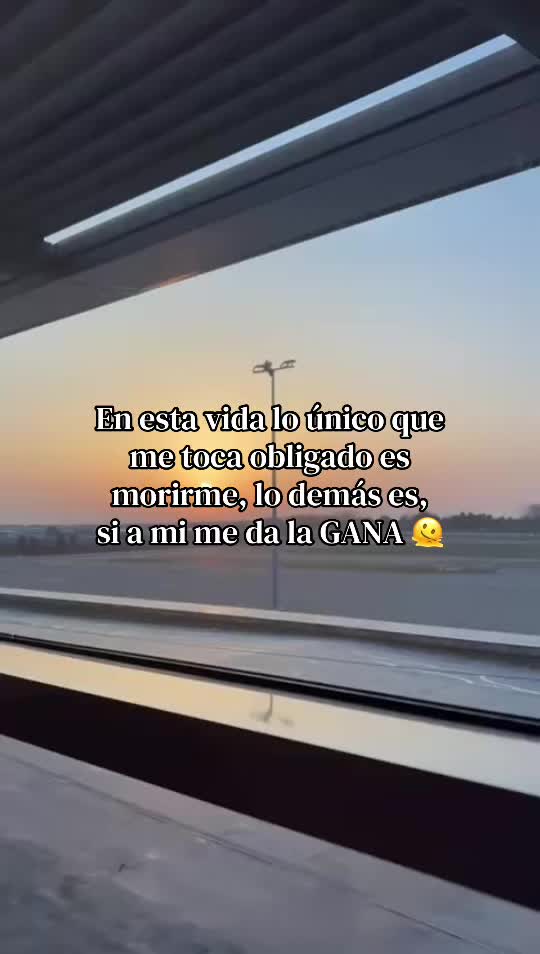 @ミ★𝘗𝘢𝘶𝘭𝘺_dlt★彡