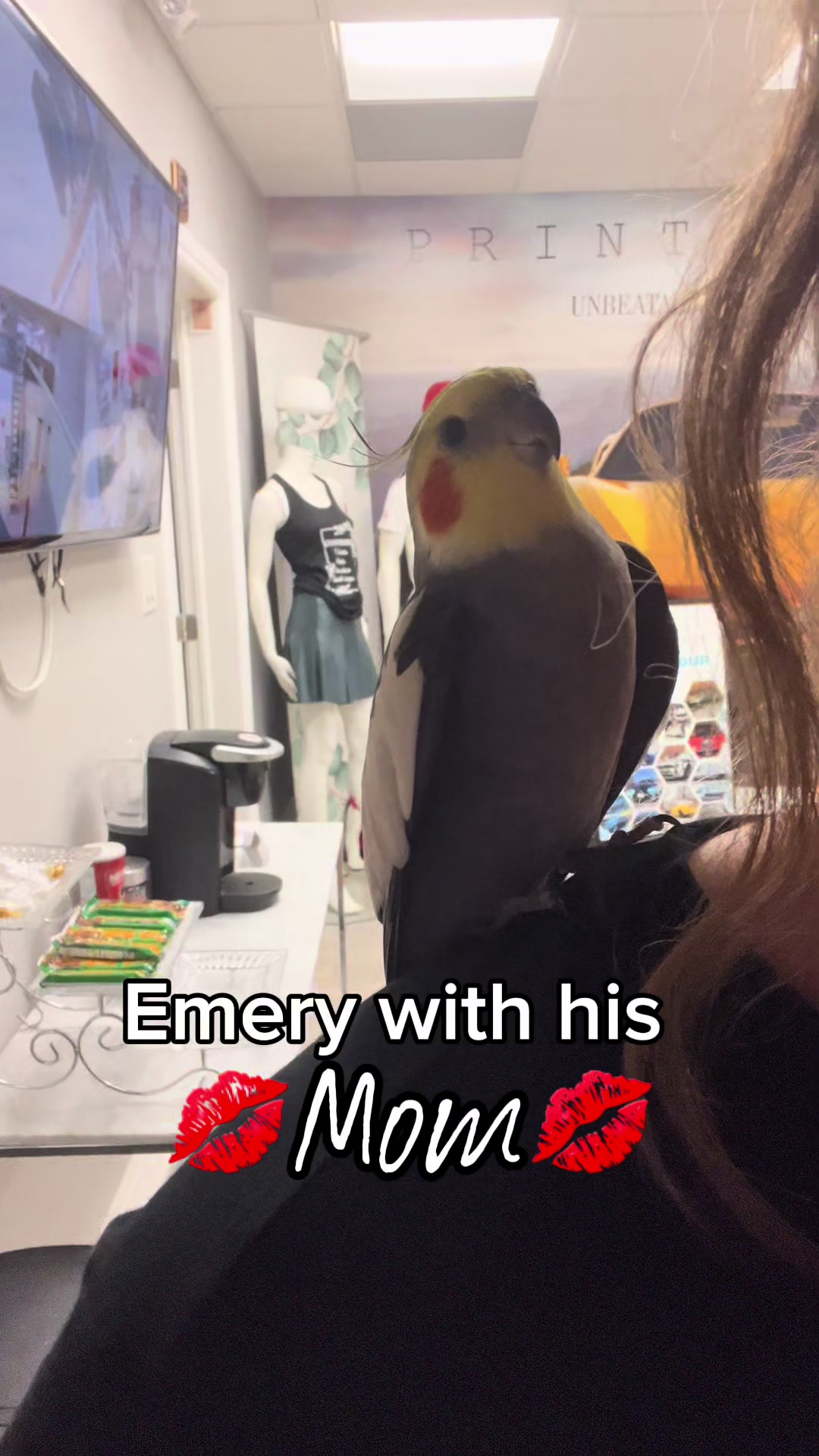 @Emery The Branch Manager