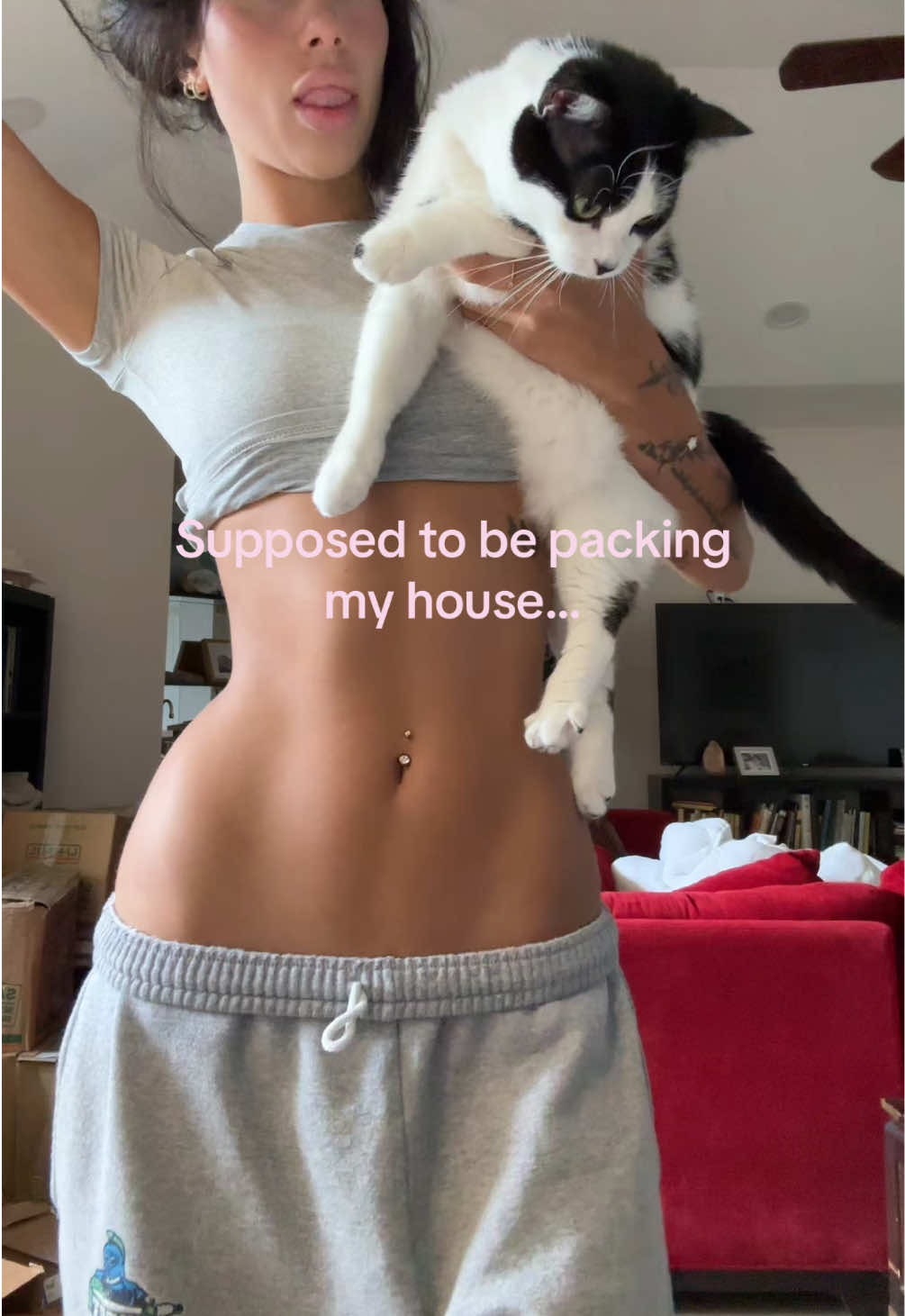 @phoenixarvidd