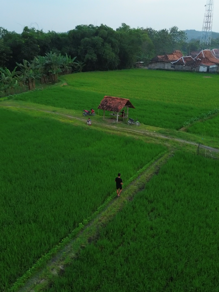 @Bayuhob