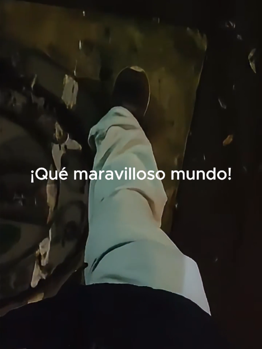 @Tamauta