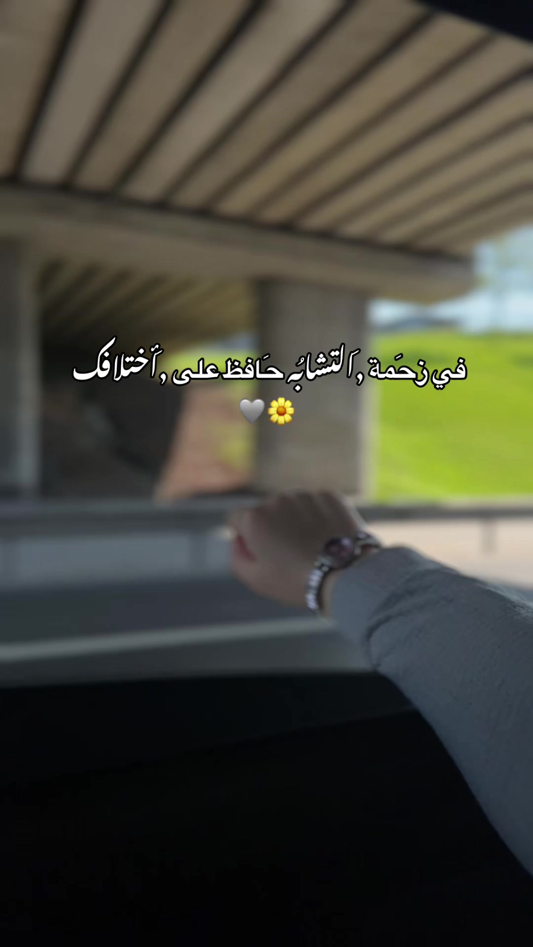 @๐๐ถ๐ฎ๐ต_๐ผ๐๐๐๐ฆ