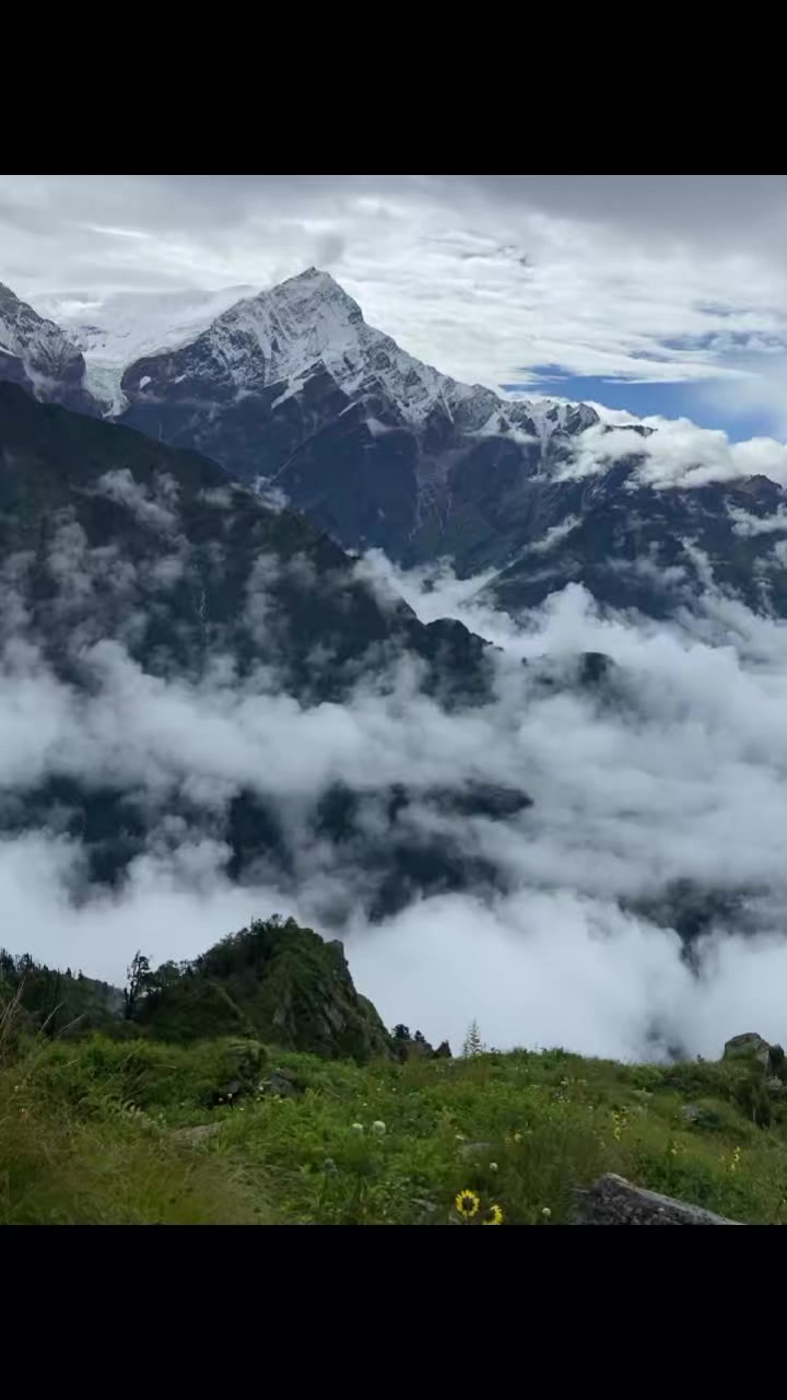 @aayushpurjapun._
