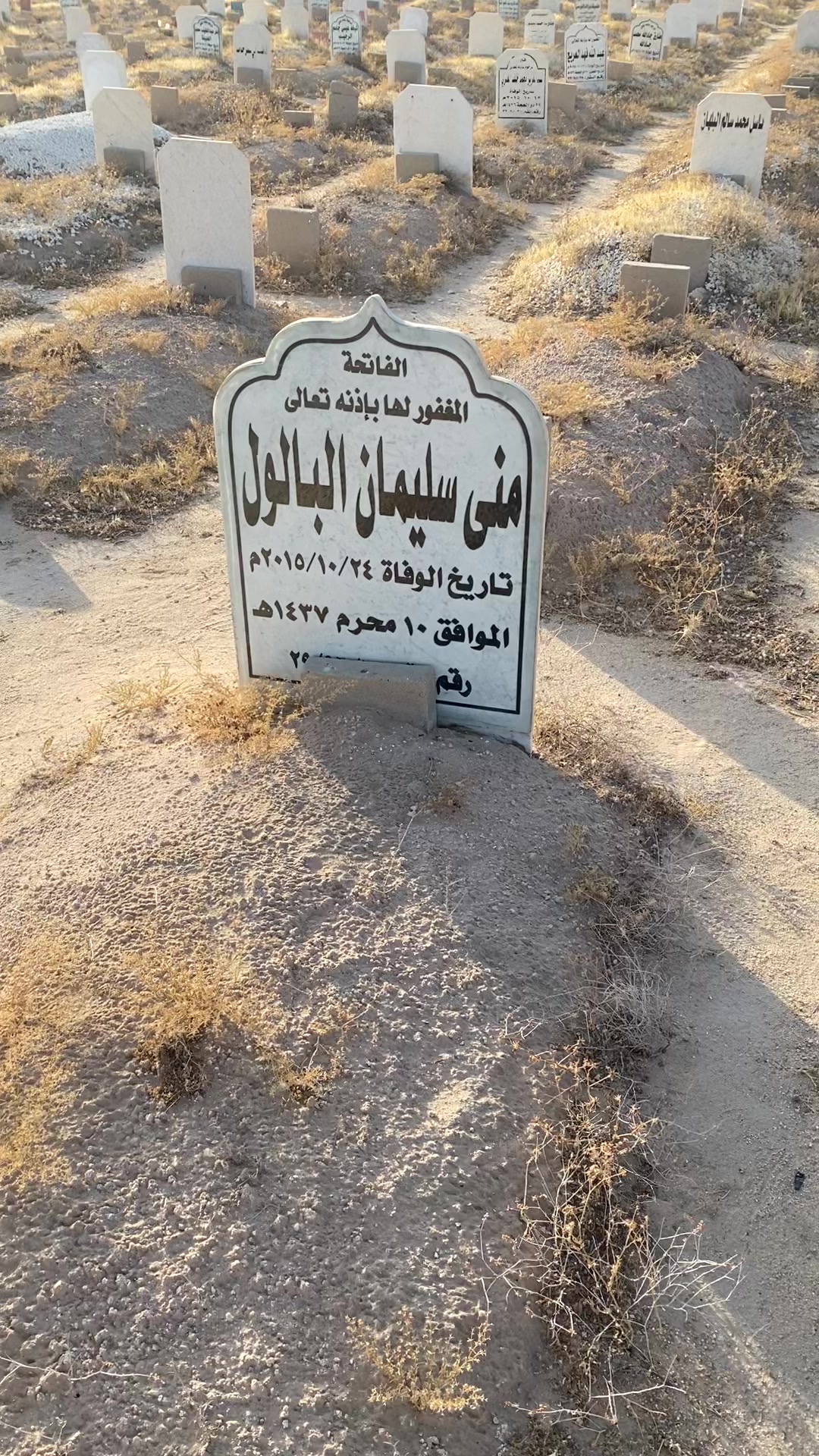 @thamer.alfadel