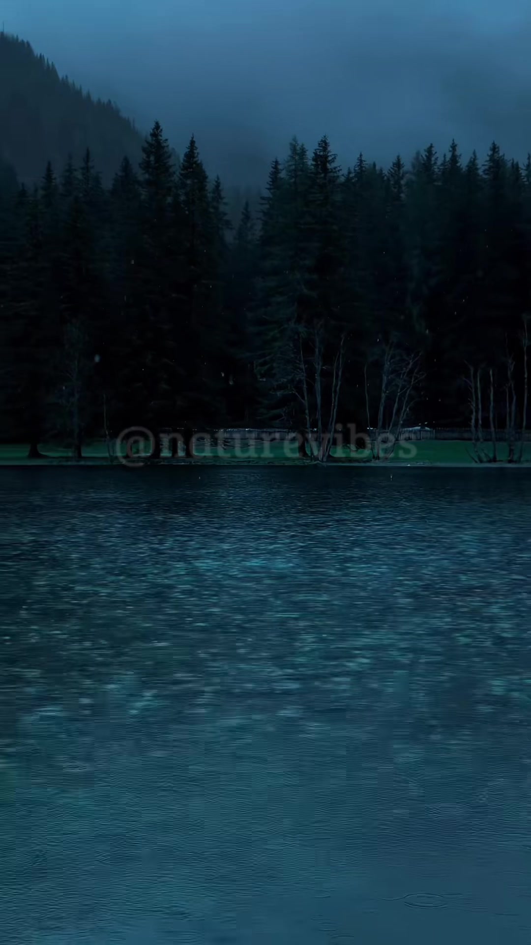 @Nature Vibes