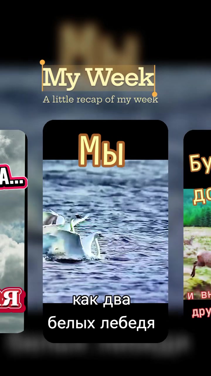 @Сергей