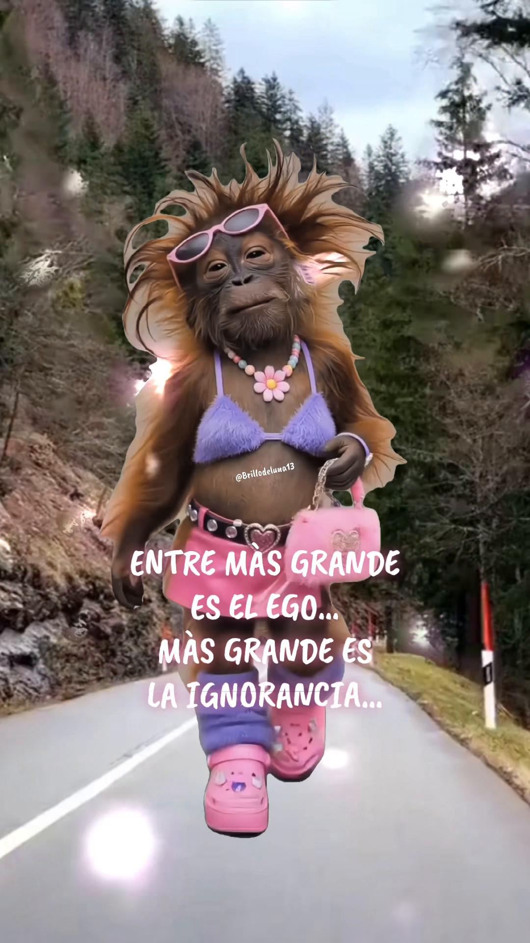 @🌙✨🦋Brillo de luna🦋🌙💫