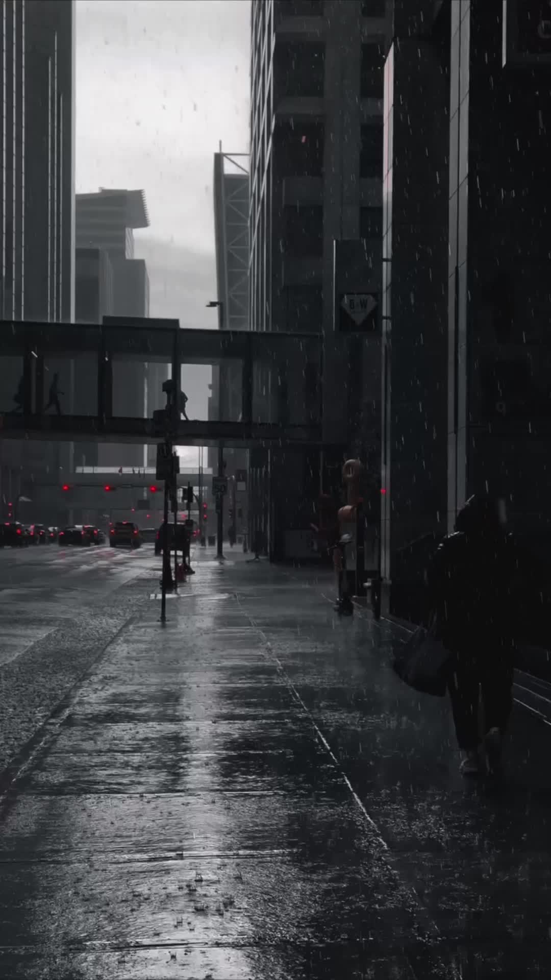 @𝐏𝐞𝐫𝐬𝐢𝐚𝐧 𝐭𝐞𝐱𝐭✯