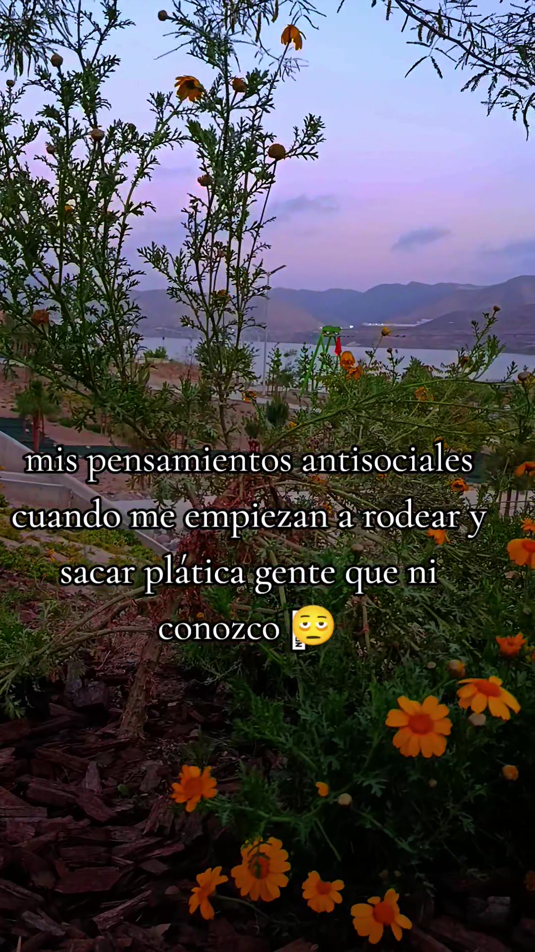 @Luna Rumpels