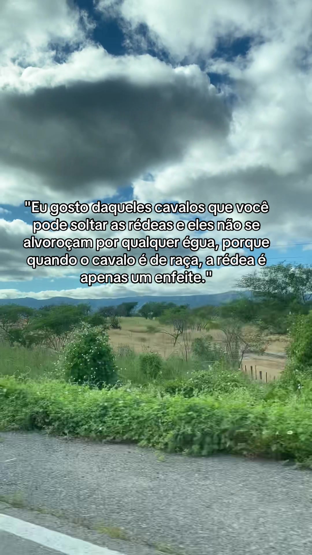 @modaoesentimento