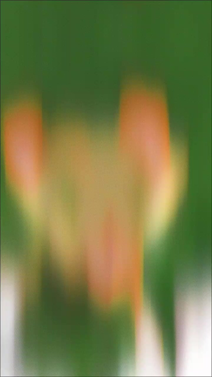 @inzamam jani