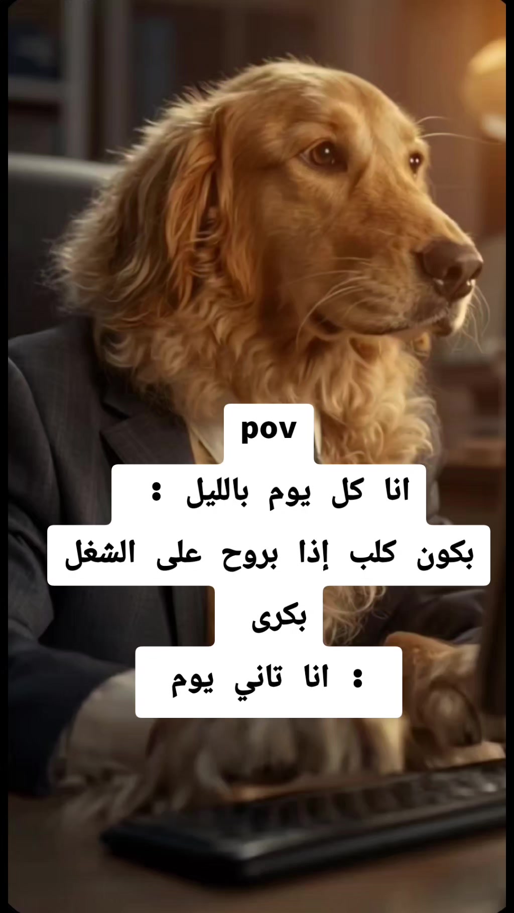 @سينموريا ⭐️