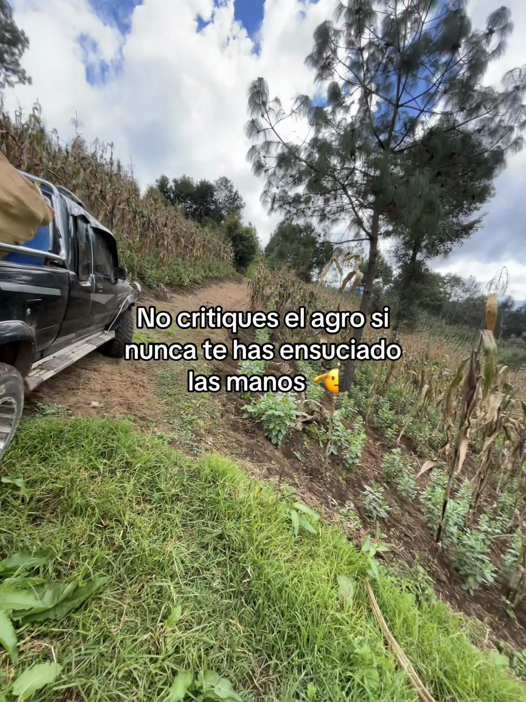 @Henry 🫡🤠
