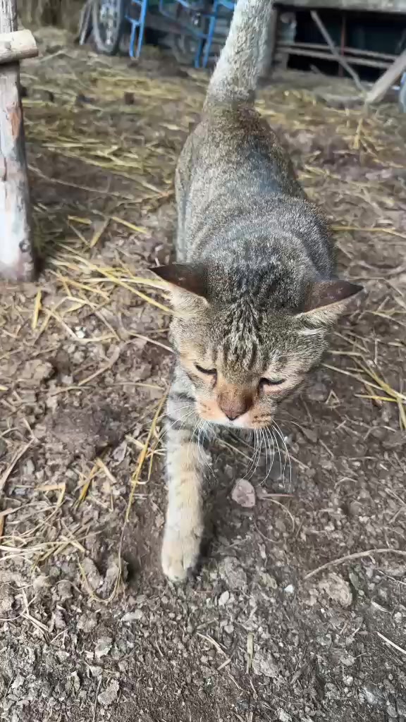 @น้องตุ้งจะเป็นอินฟลู