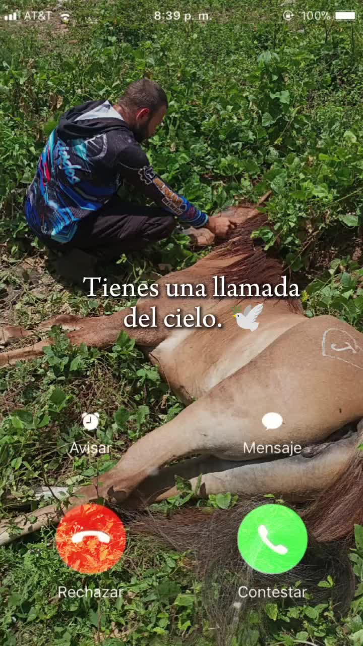 @Hacienda Los Queridos