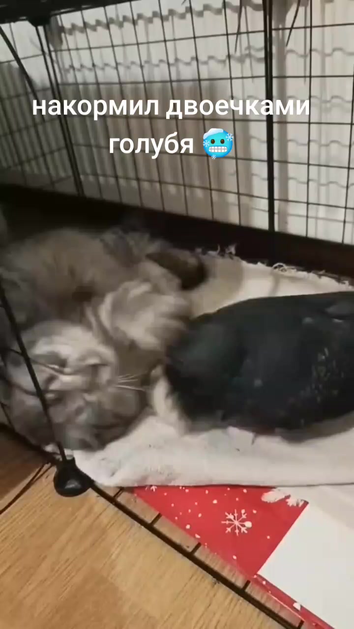 @Имя