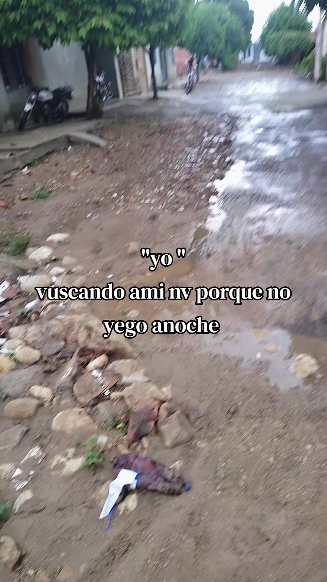 @🪼Angie🪼