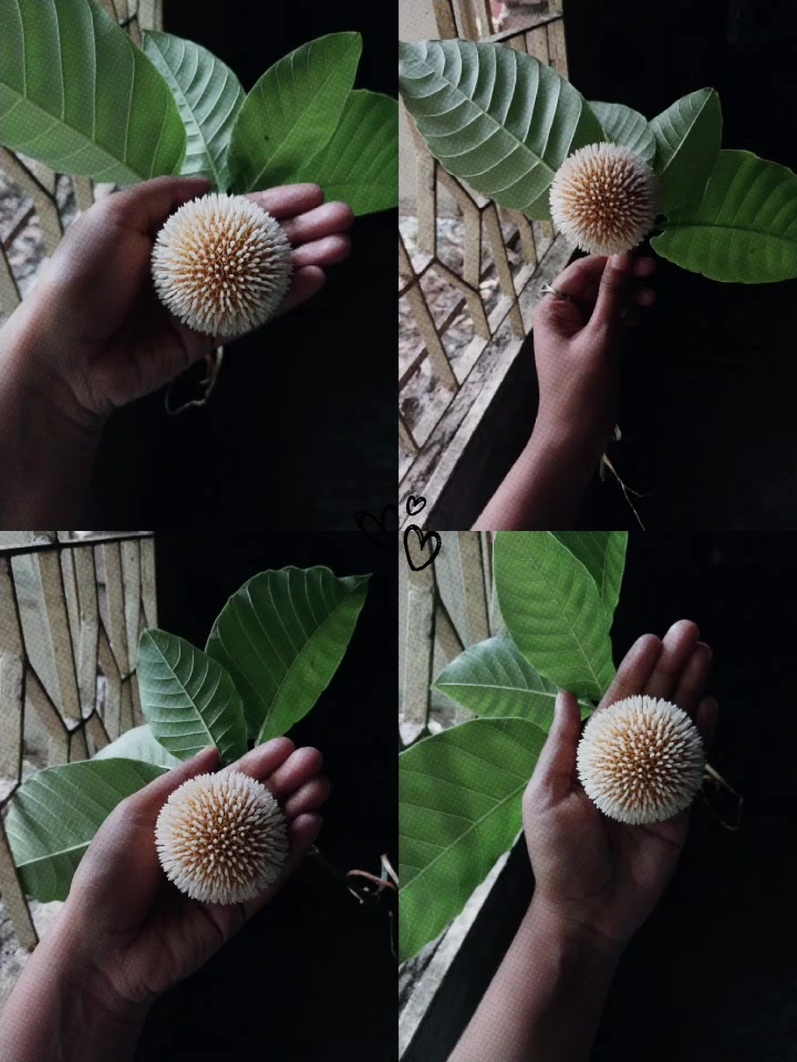 @Sanzida Nahar