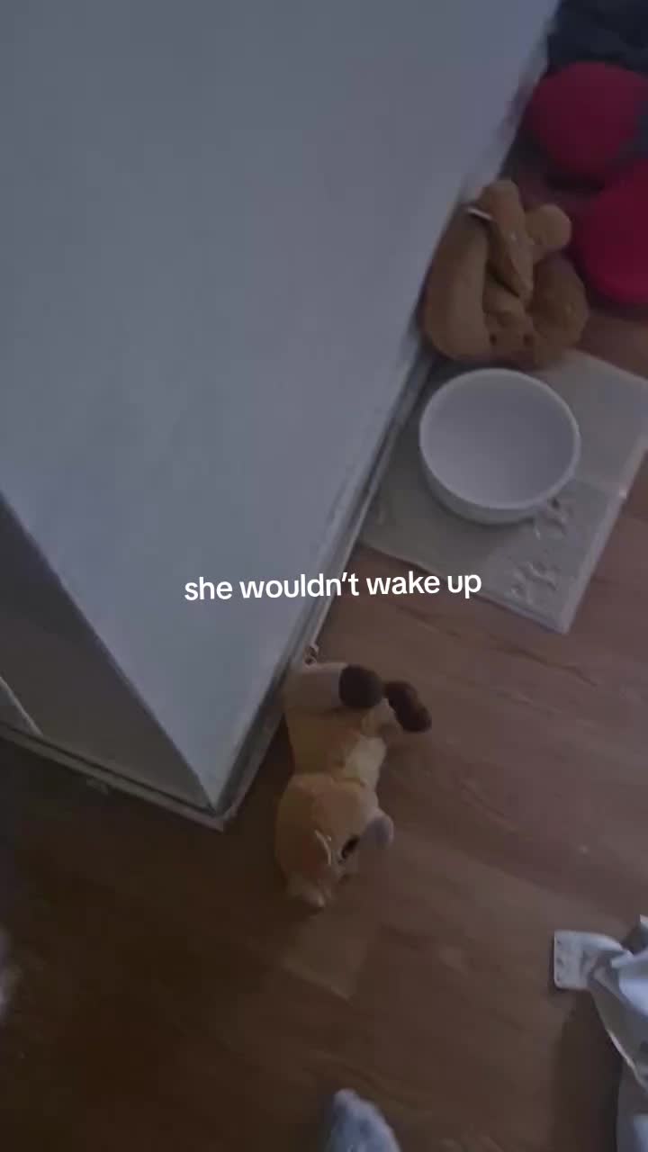@angvllk.s0ul