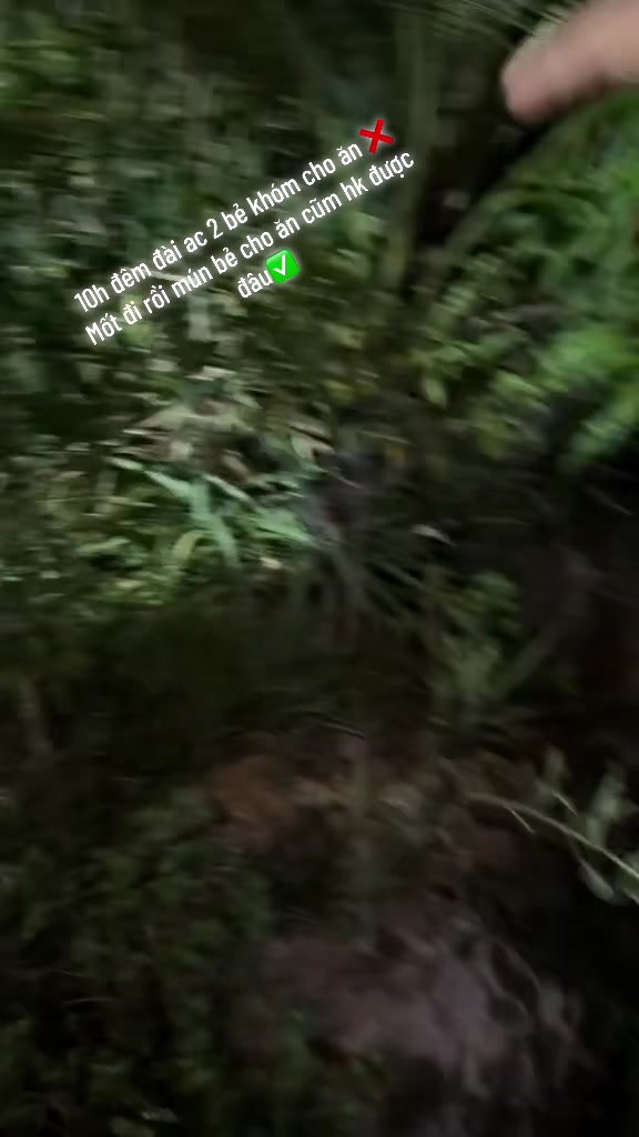 @ThanhNguyet18