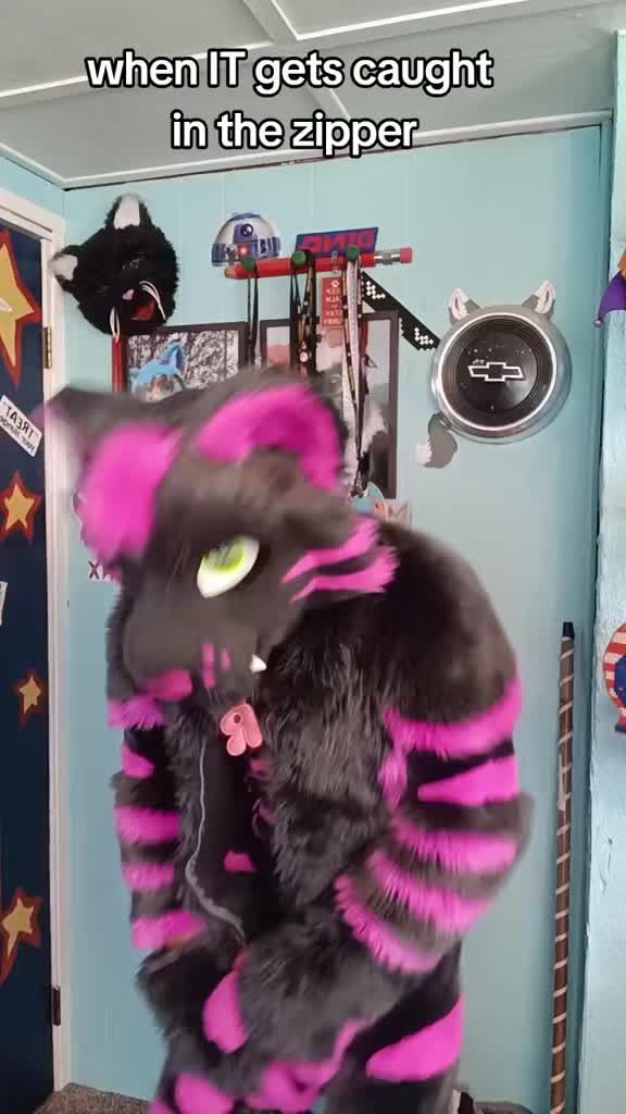 @dingbat 🐾 mew,mew 🐾