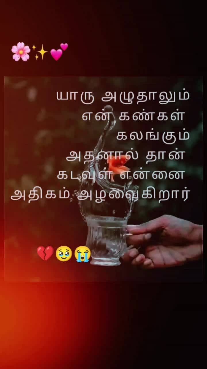 @rose♥️