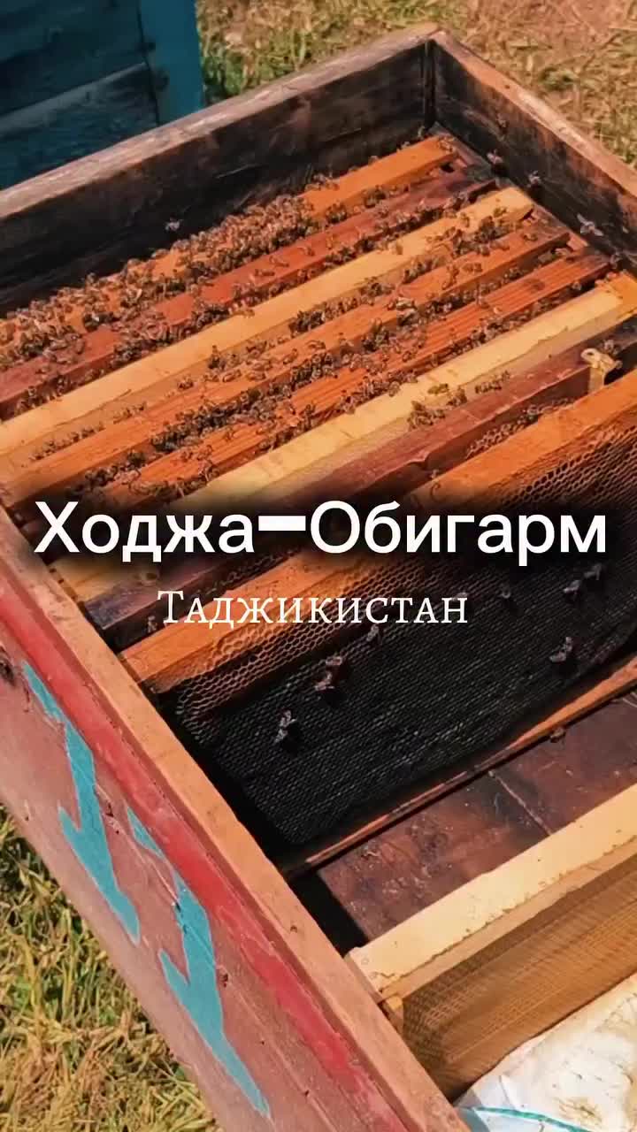 @ПУТЕШЕСТВИЕ ПРО ТАДЖИКИСТАН