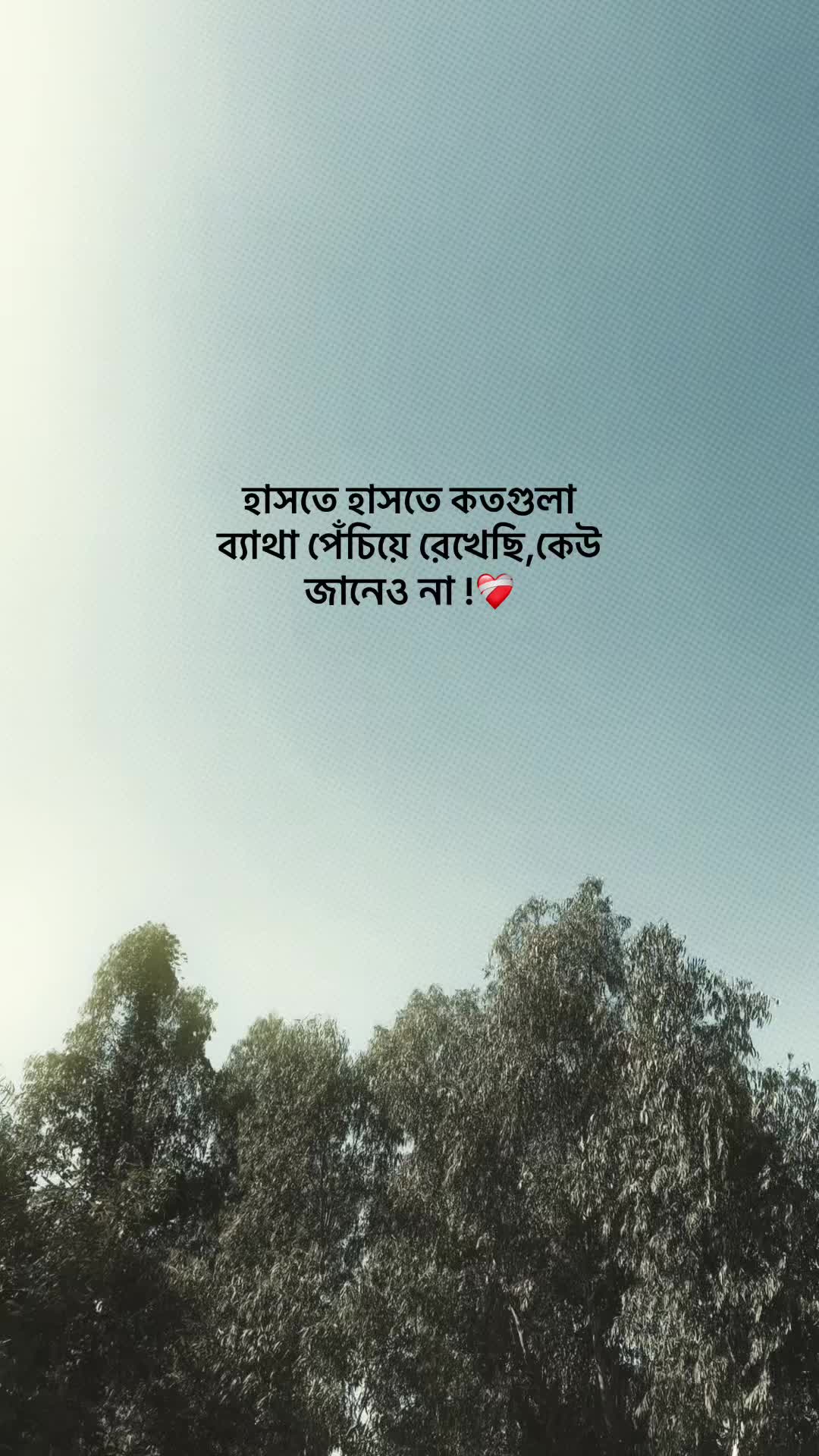@-ᴅᴀɪꜱʏ-🌼