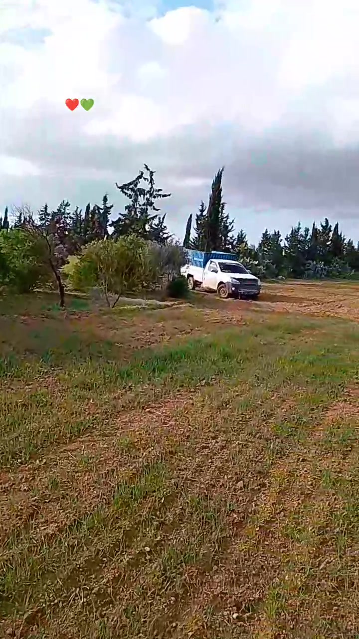 @monta D-max