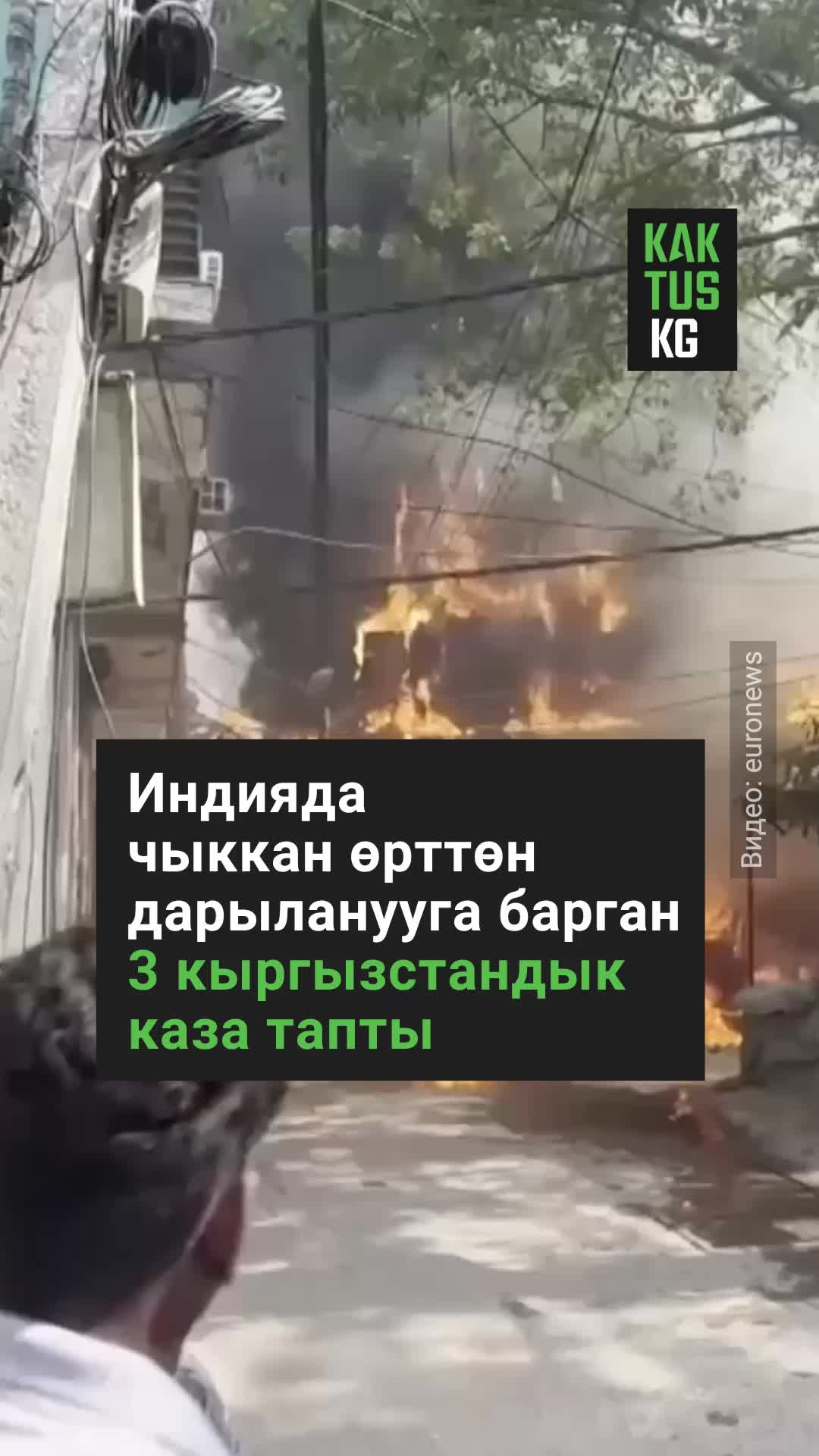 @Kaktus KG